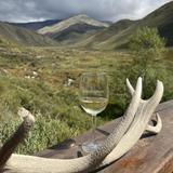 Mendoza Province