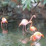 National Aviary