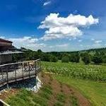Grandview Vineyard