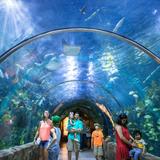 Audubon Aquarium
