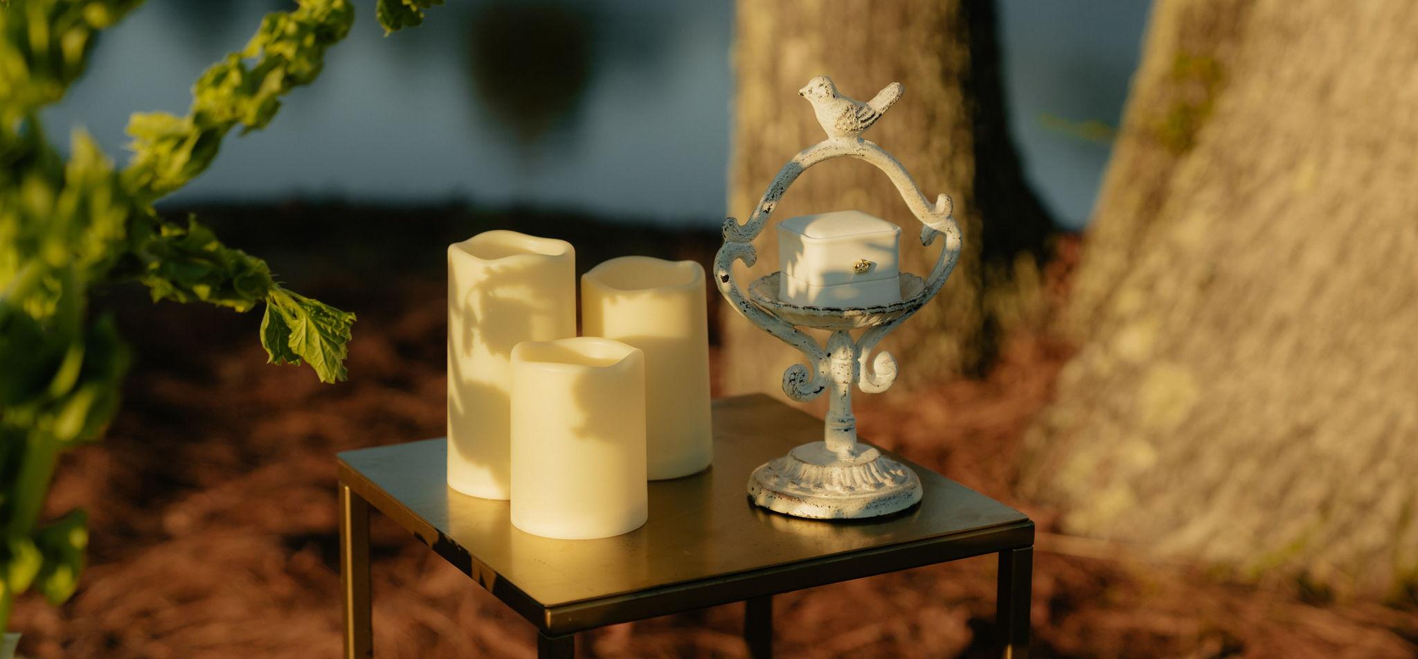 The Wedding Website of Lauren Grace Brooks and Slade Jared Thompson