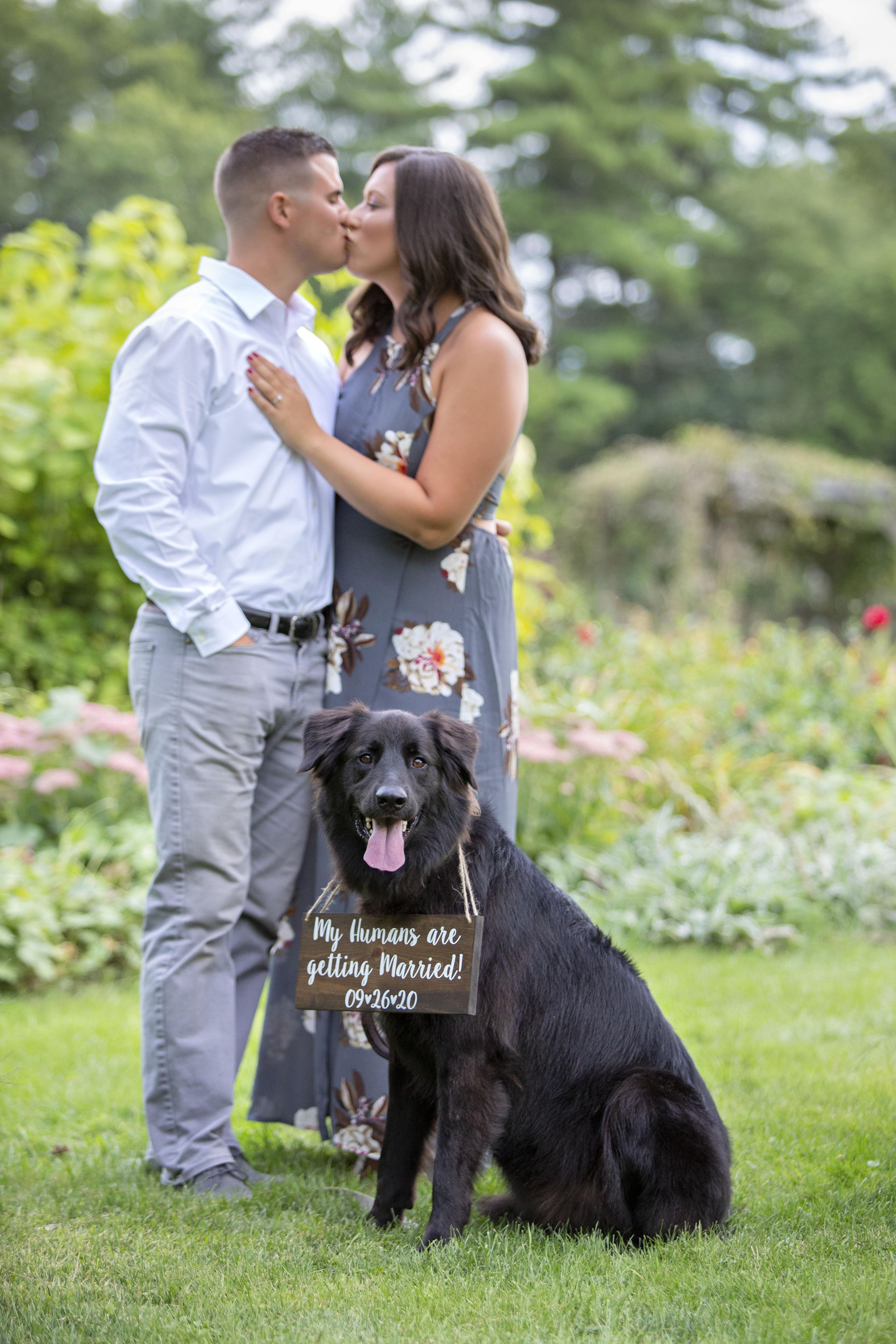 The Wedding Website of Caitlyn Shea and Brett Pittera