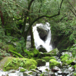 Sugarloaf Ridge State Park