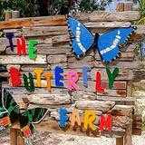 The Butterfly Farm Aruba