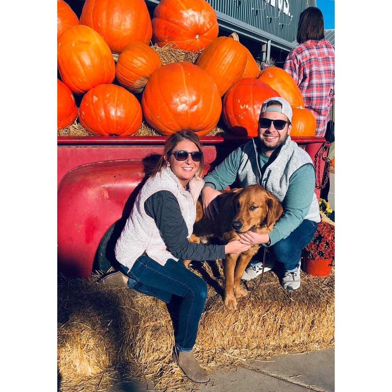 Pumpkin patch with Yadi!