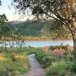 Batiquitos Lagoon Trail