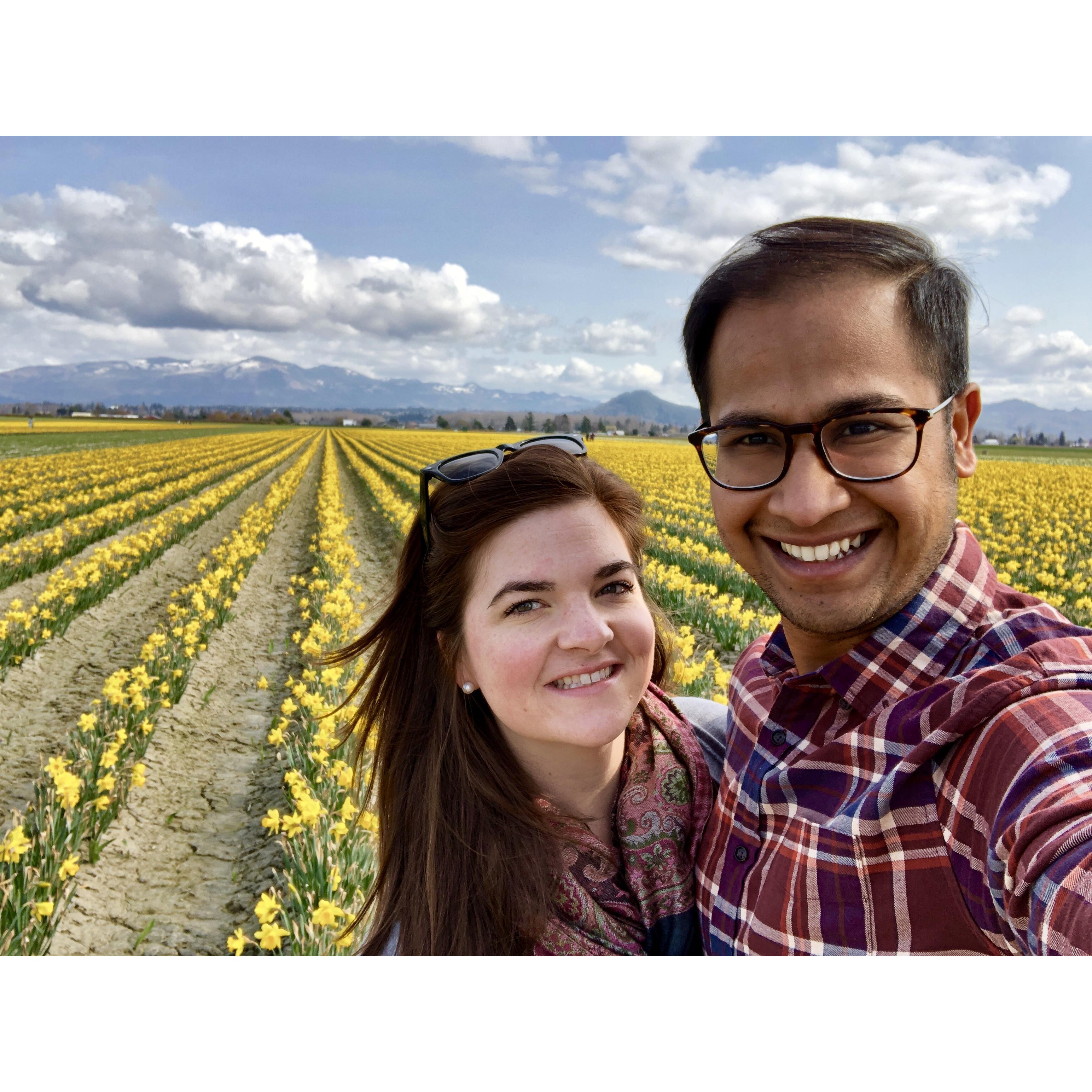Daffodil fields near Seattle, WA!