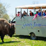 Grant's Farm