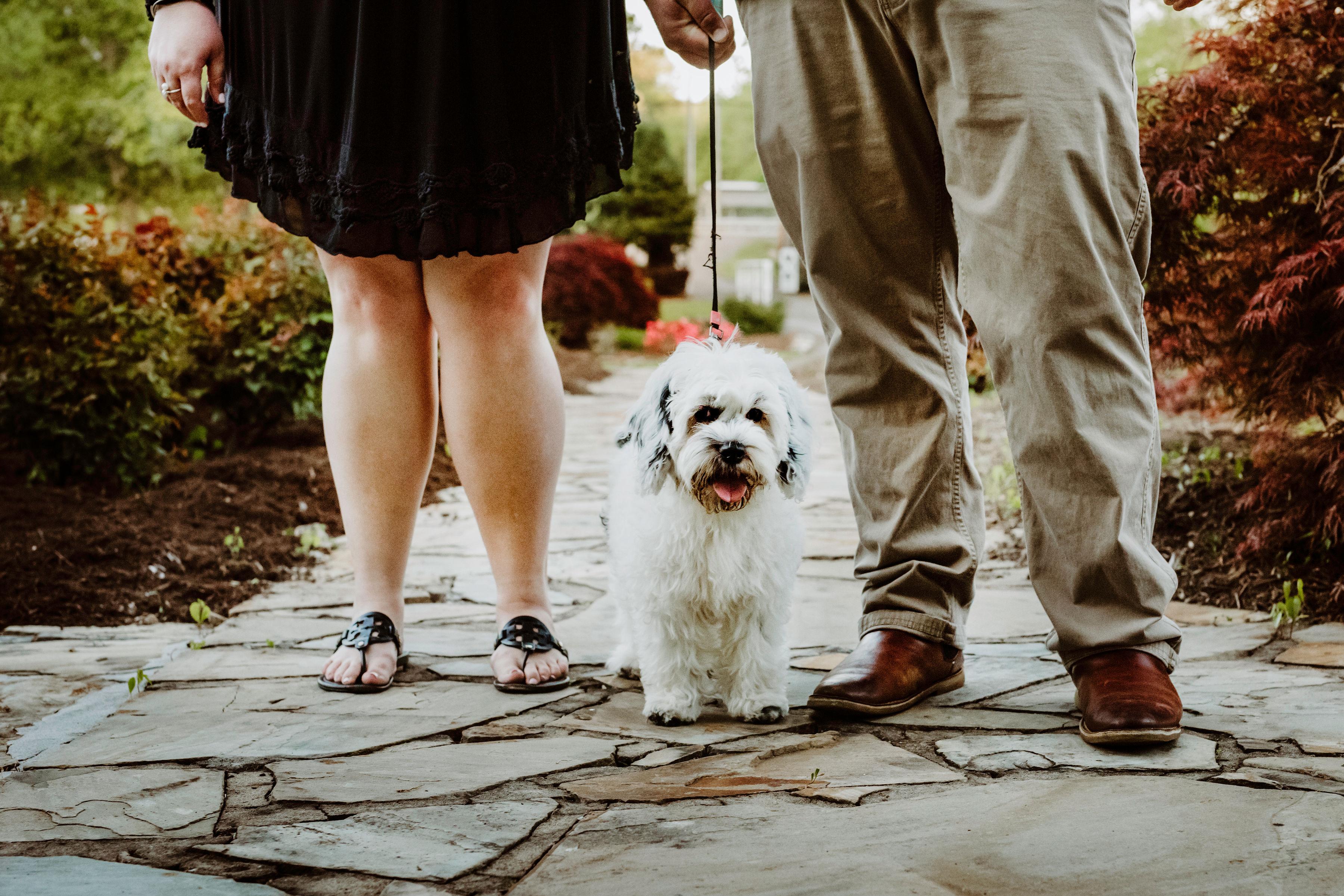 The Wedding Website of Ashley Blackburn and Alvis Moore