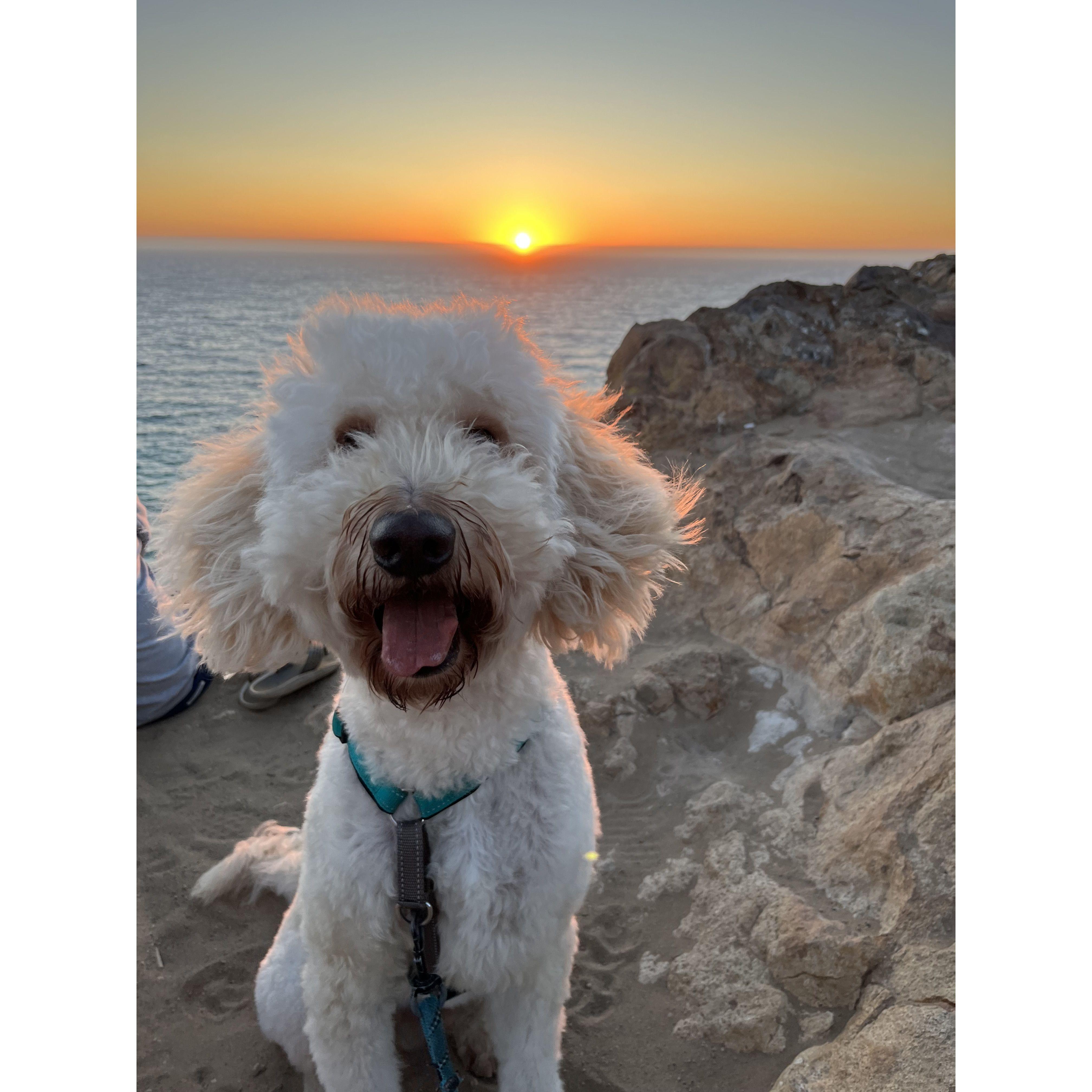 Cosmo living his best life :)