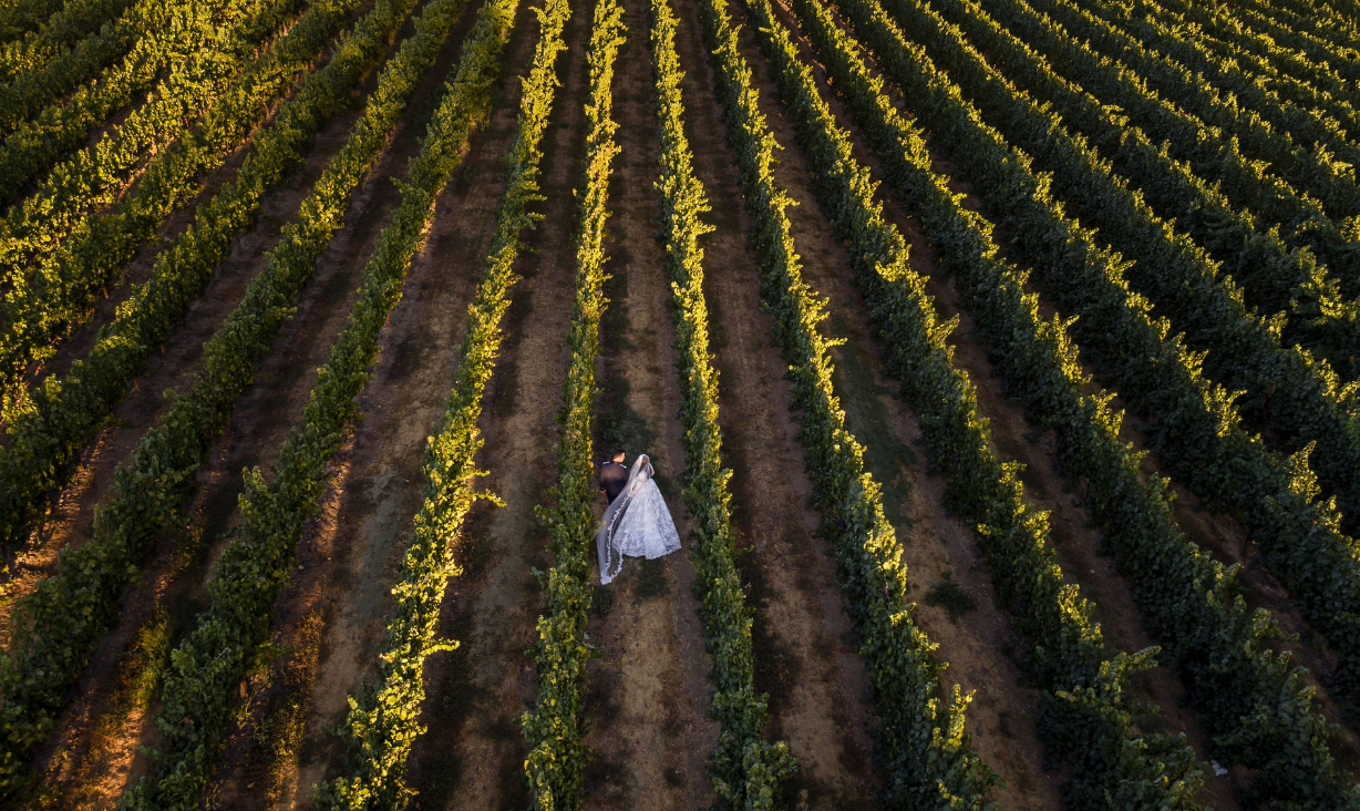 The Wedding Website of Emily Patterson and Miles Yourman