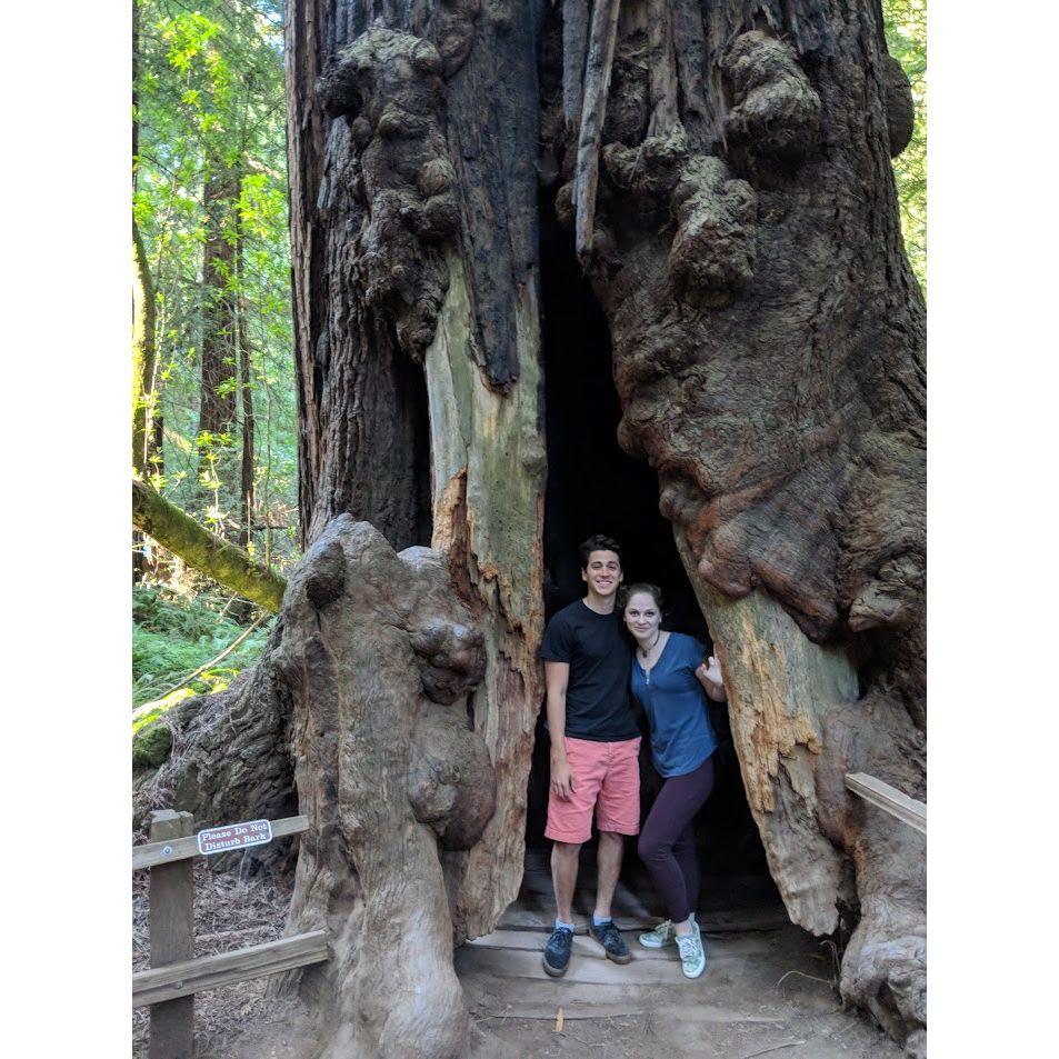 2017 - Our first time together in CA, seeing the coastal redwoods in Muir Woods.
