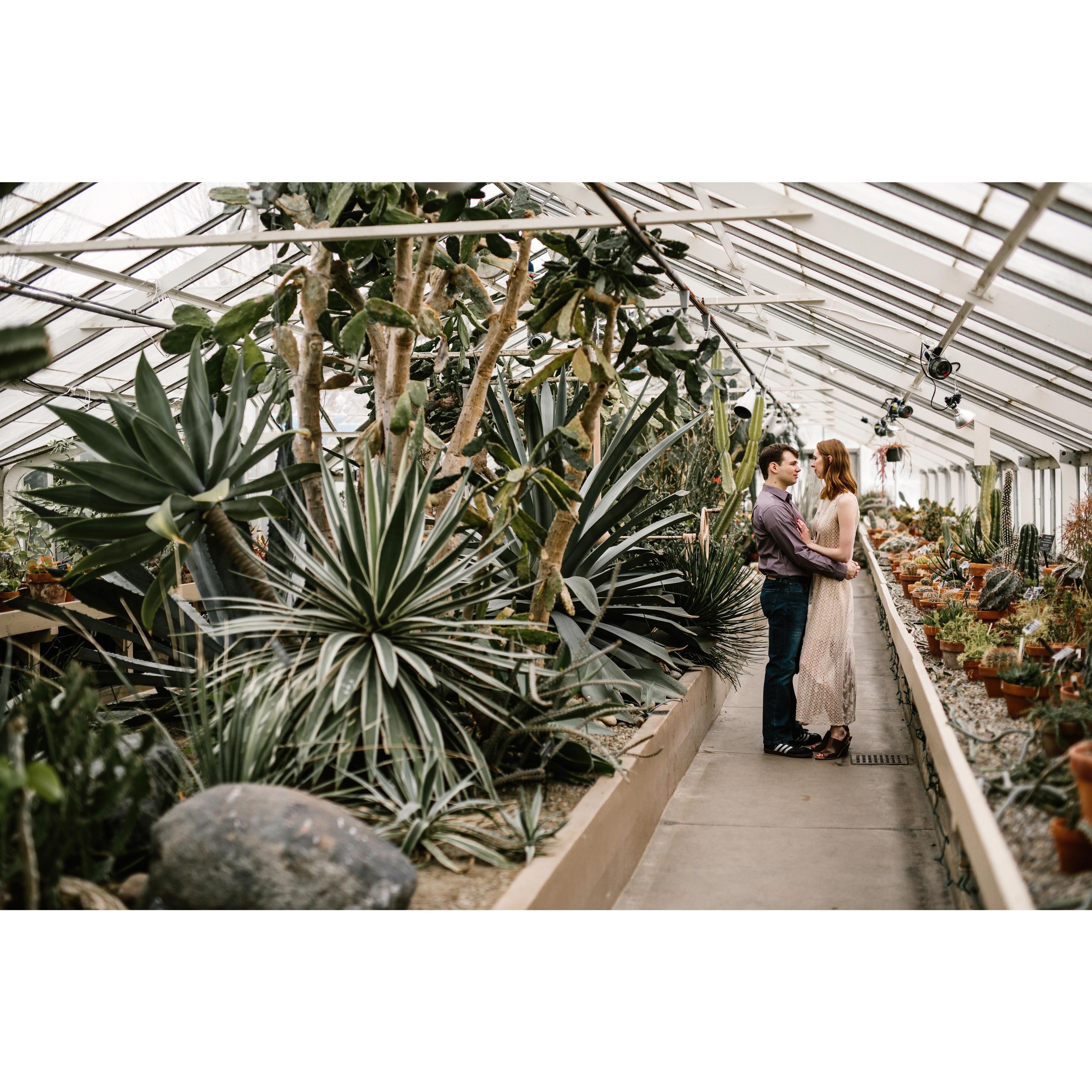 Engagement Shoot, February 2018