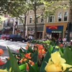 Downtown Holland