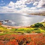 Palos Verdes Nature Preserve