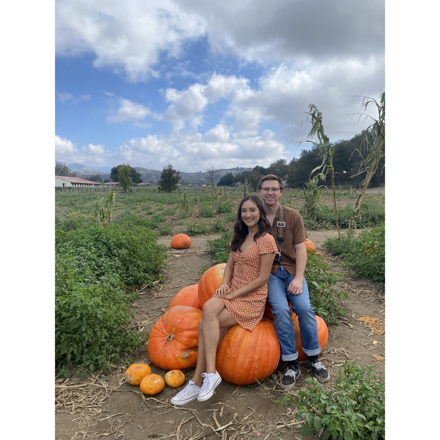 Bates Nut Farm Pumpkin Patch