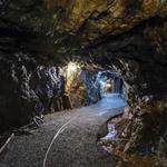 Consolidated Gold Mine