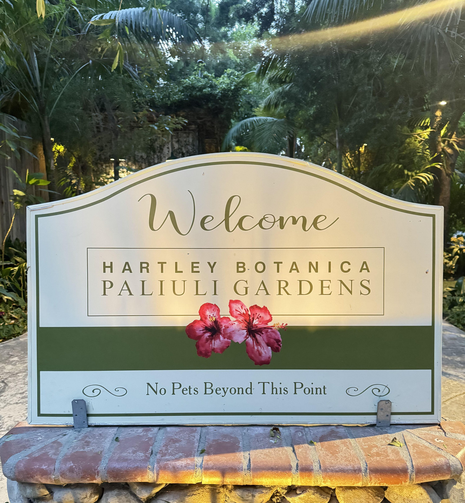 The Wedding Website of William Basham and Kimberly Cardiel