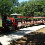 Landa Park