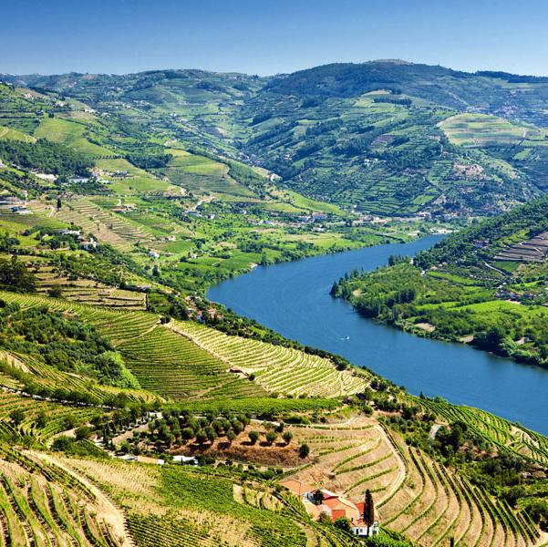 Honeymoon on the Douro River & in Porto, Portugal