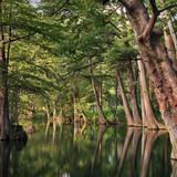 Wimberley Local Guide