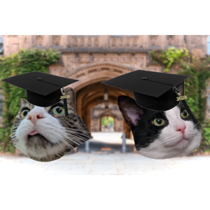 Booker & Leo's College Fund