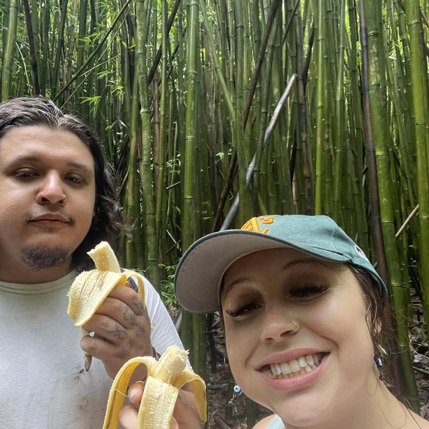 In a bamboo forest in Maui