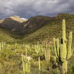 Sabino Canyon Recreation Area
