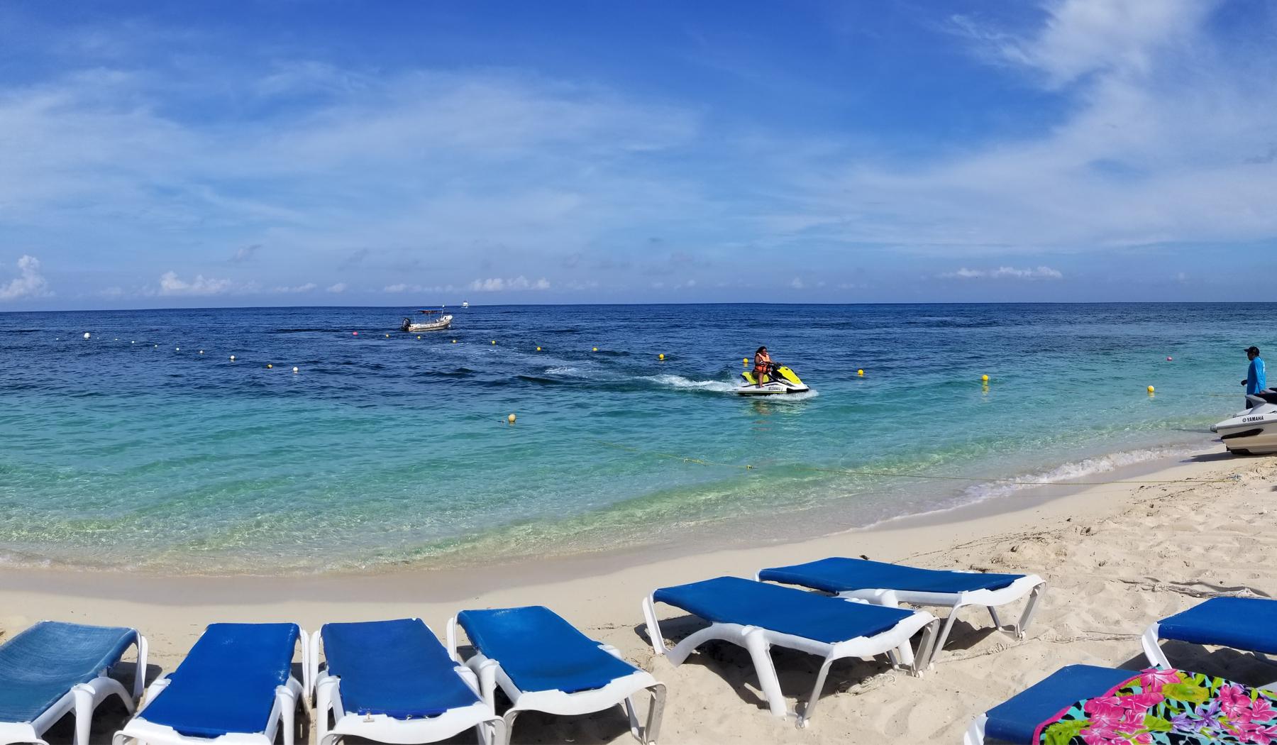 The Wedding Website of Layla Tavakol and Sara Sertuche