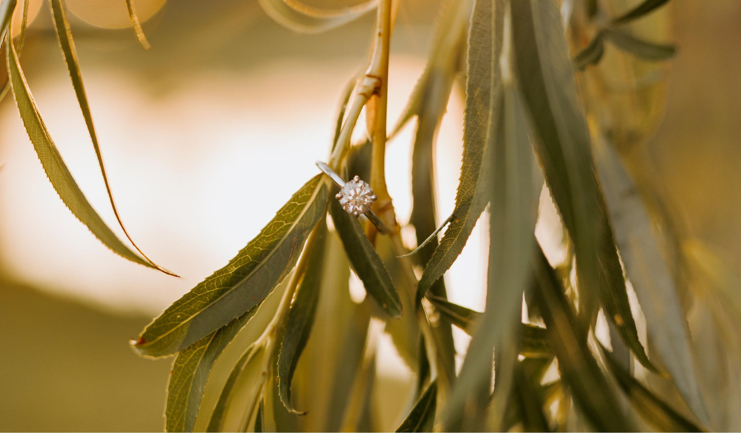 The Wedding Website of Allison Garlow and Aden Michels