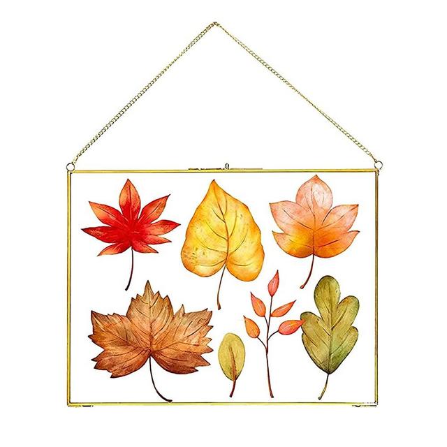 Pressed Flower Glass Picture Frame, Glass Brass Photo Frame for DIY Dried Flowers Plant Wall Hanging Decor Display Specimen Gold Vintage Frame Geometric Ornament 8x12 Inches