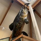 Catskill Fly Fishing Center & Museum