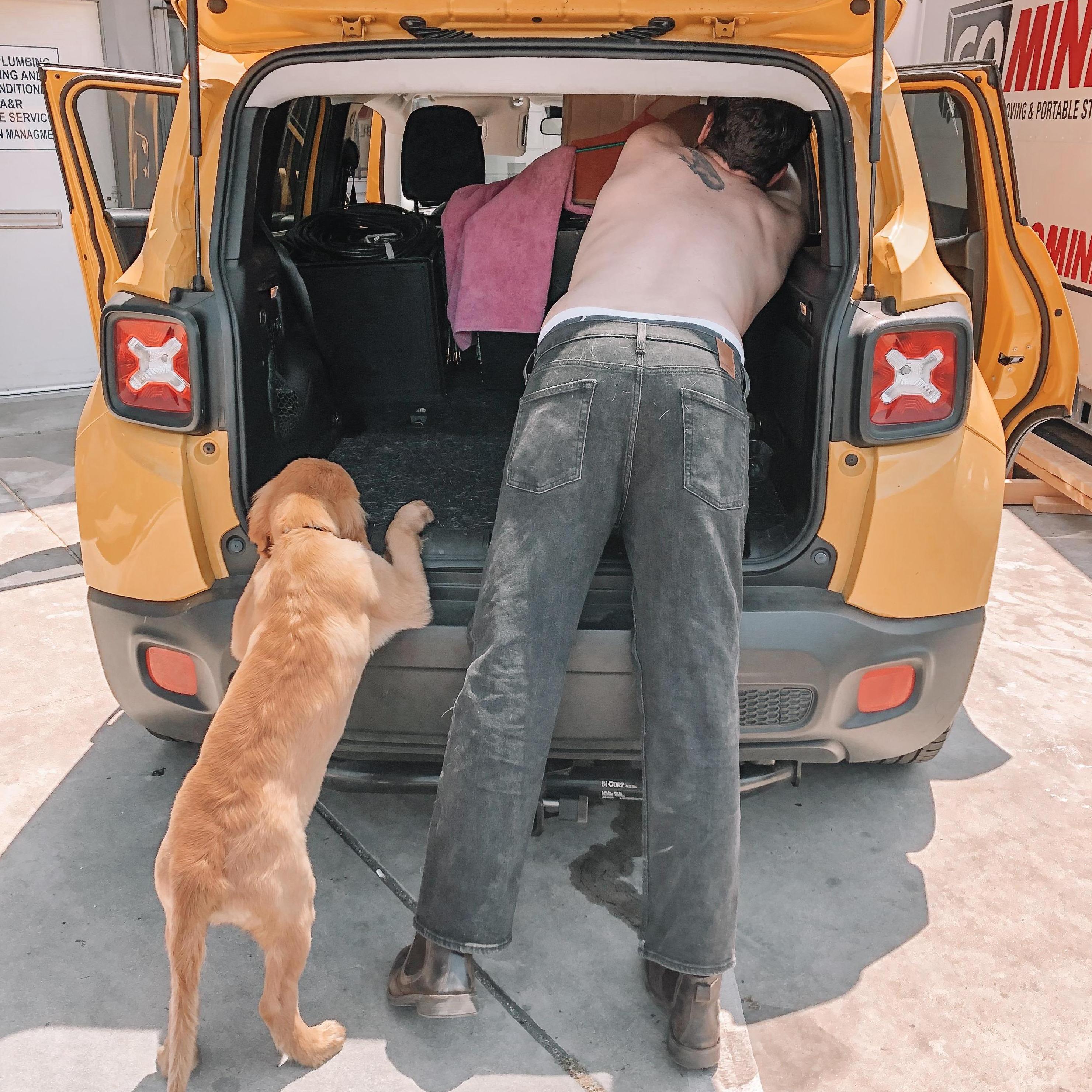 A cute photo of Dusty's butt!

-Carlie