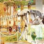 Asheville Museum of Science