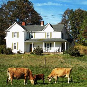 Home Down Payment