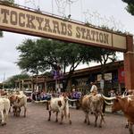 Fort Worth Stockyards