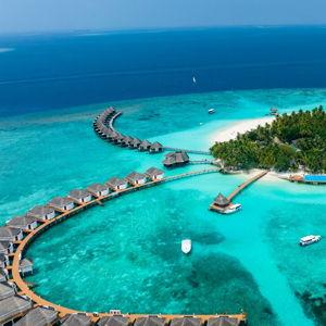 Honeymoon Fund