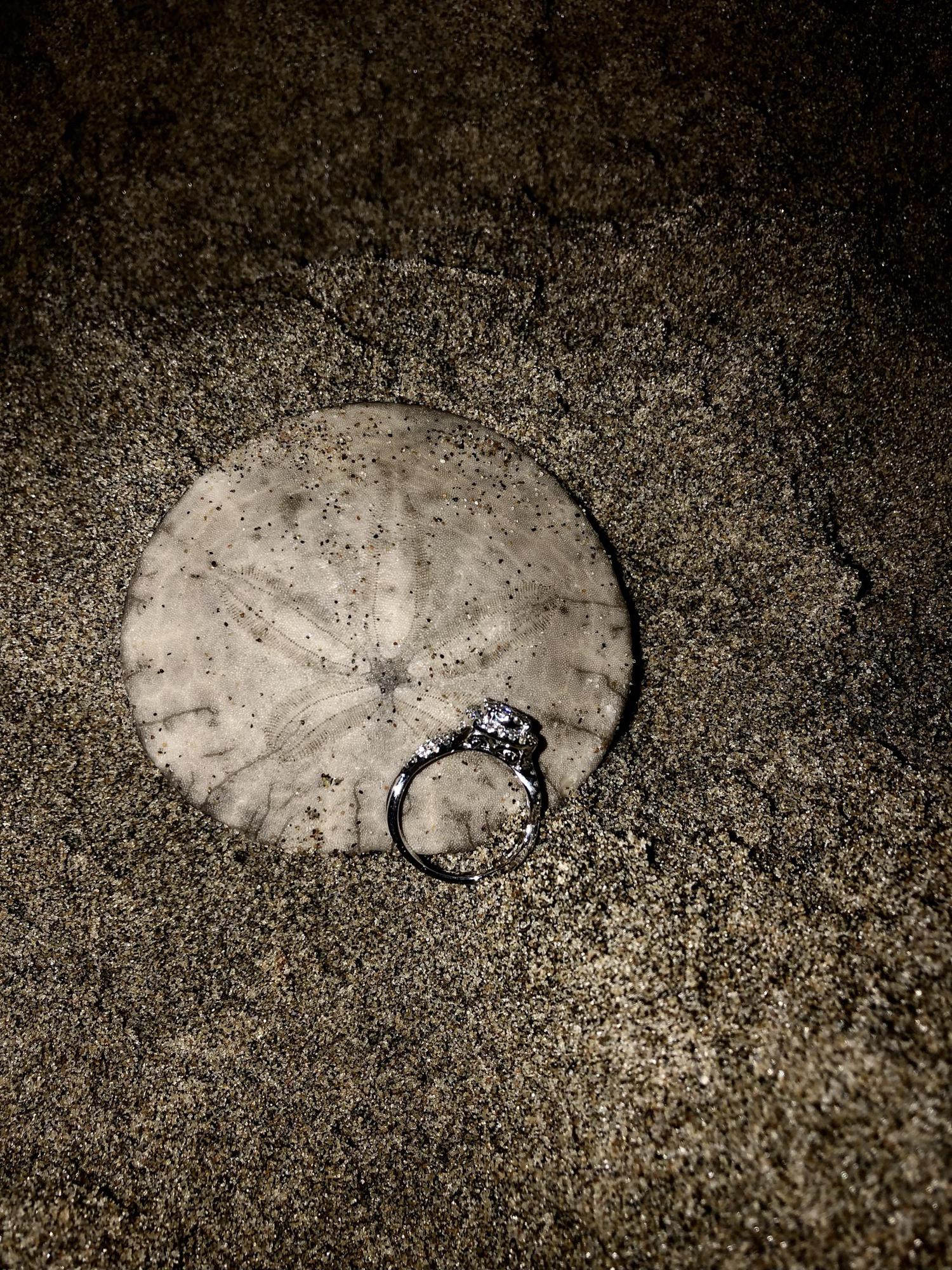 The night he proposed we found a plethora of sand dollars on the coast