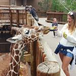 Cheyenne Mountain Zoo