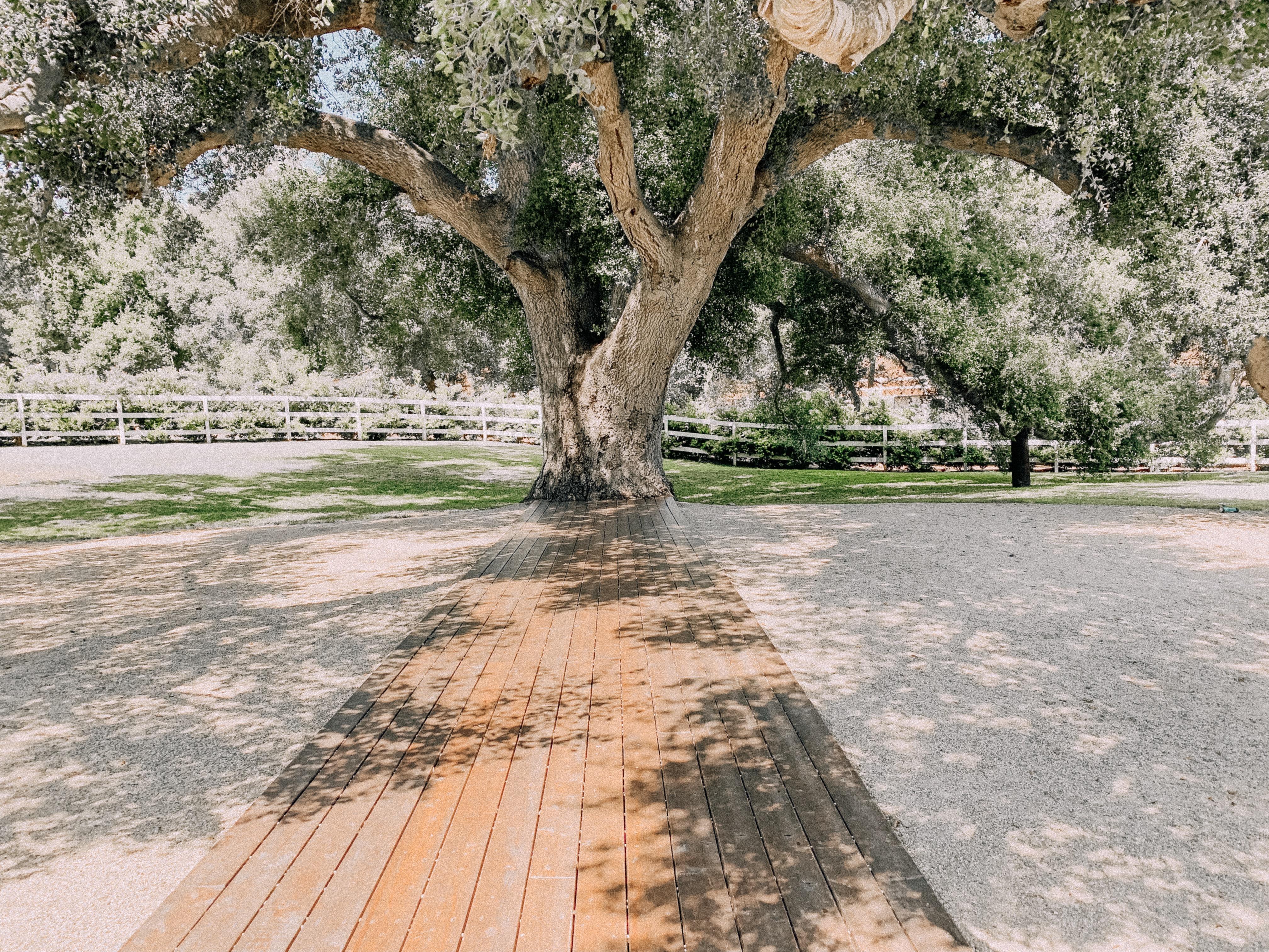 The Wedding Website of Kellie Puentes and Connor Canzone