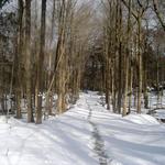 Sal J. Prezioso Mountain Lakes Park