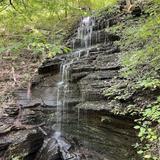 Fall Hollow Trail