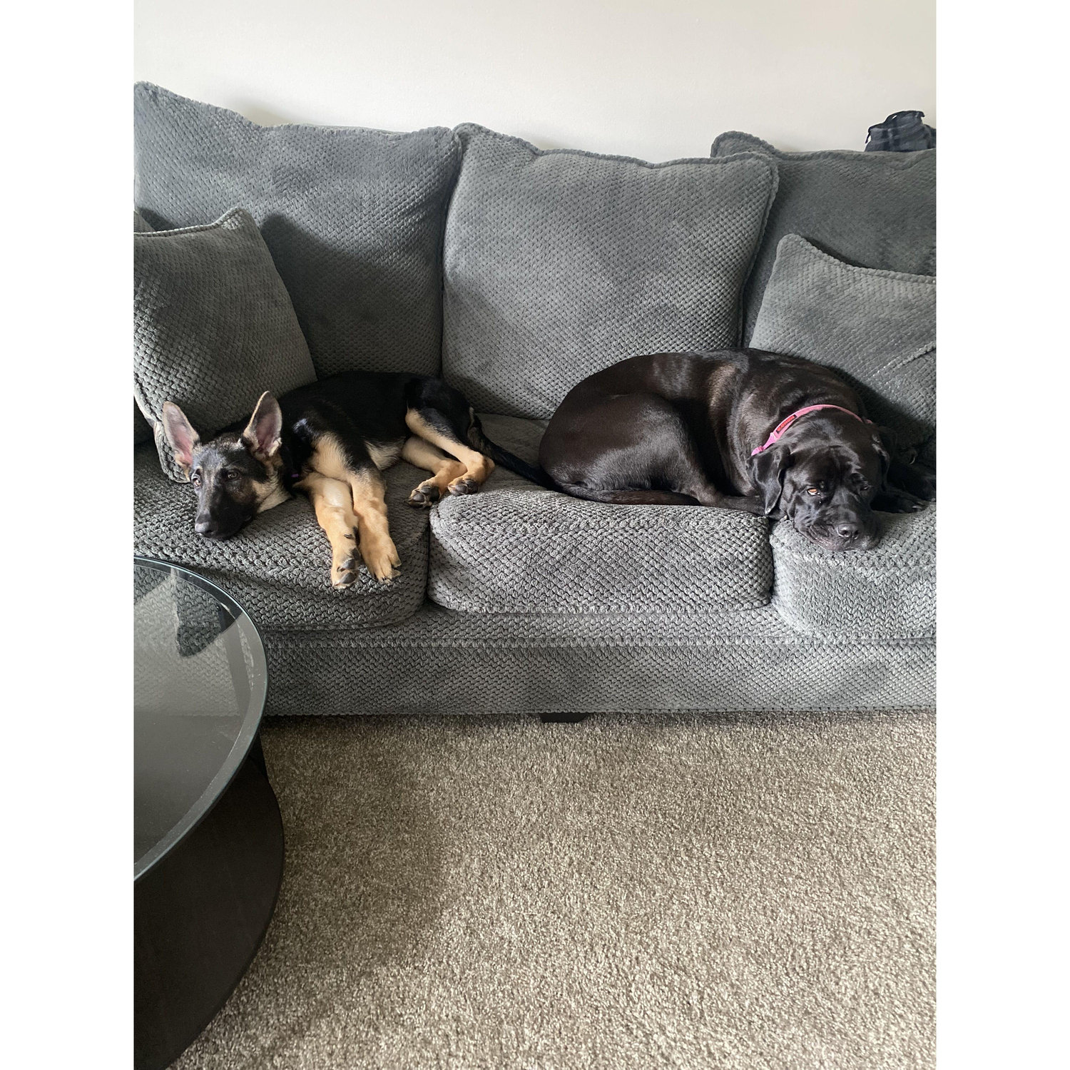 Our girls