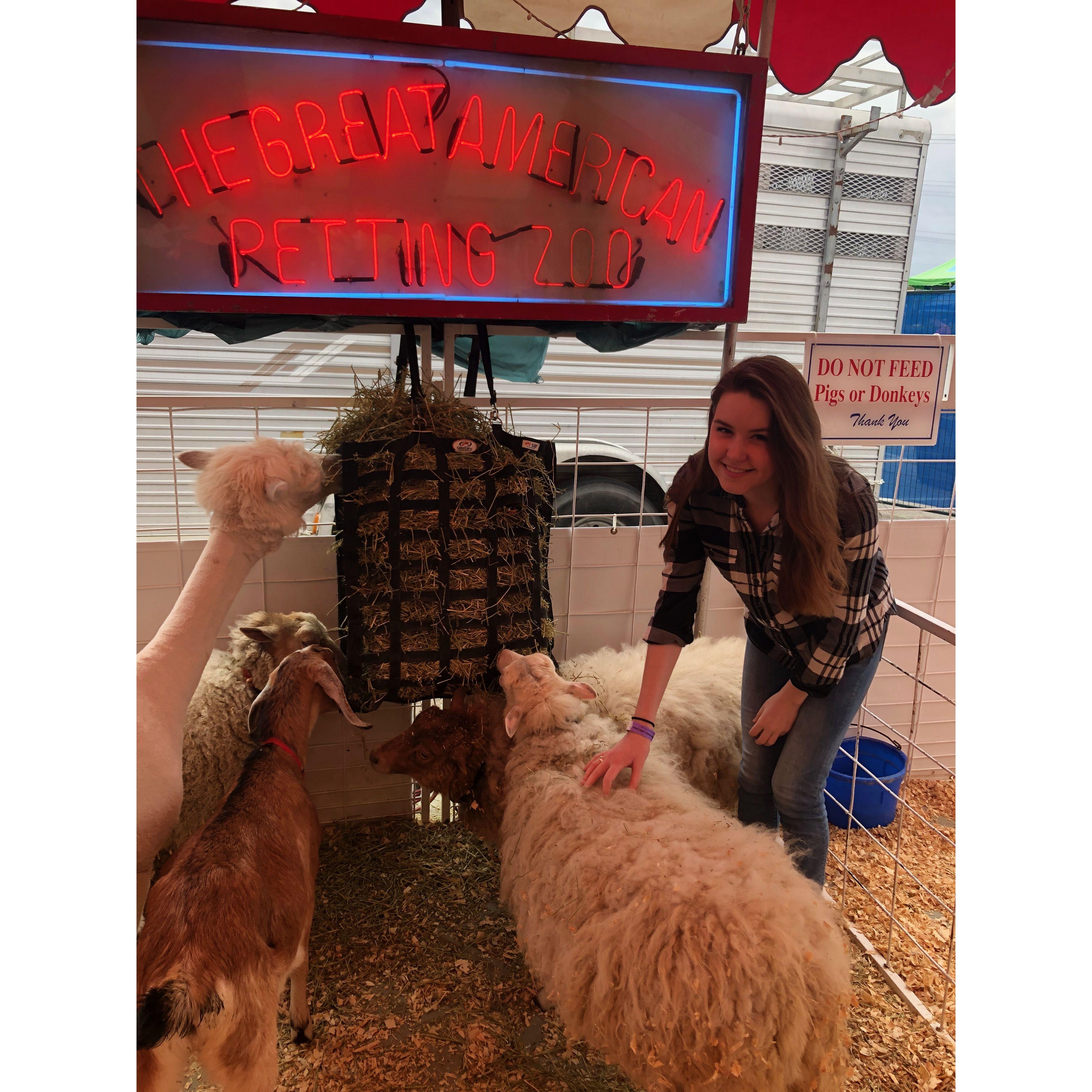 Ashley's first rodeo