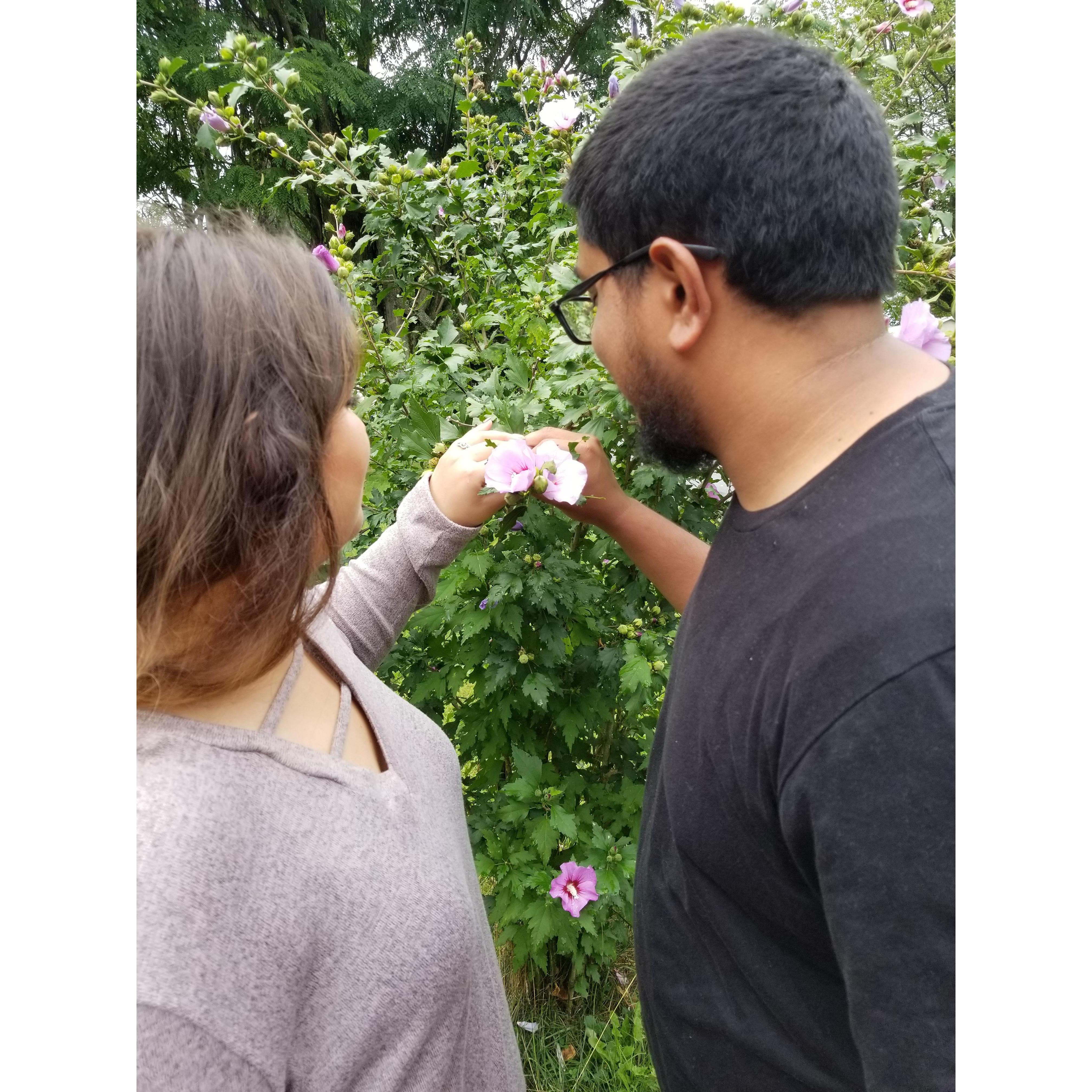 I pick you
