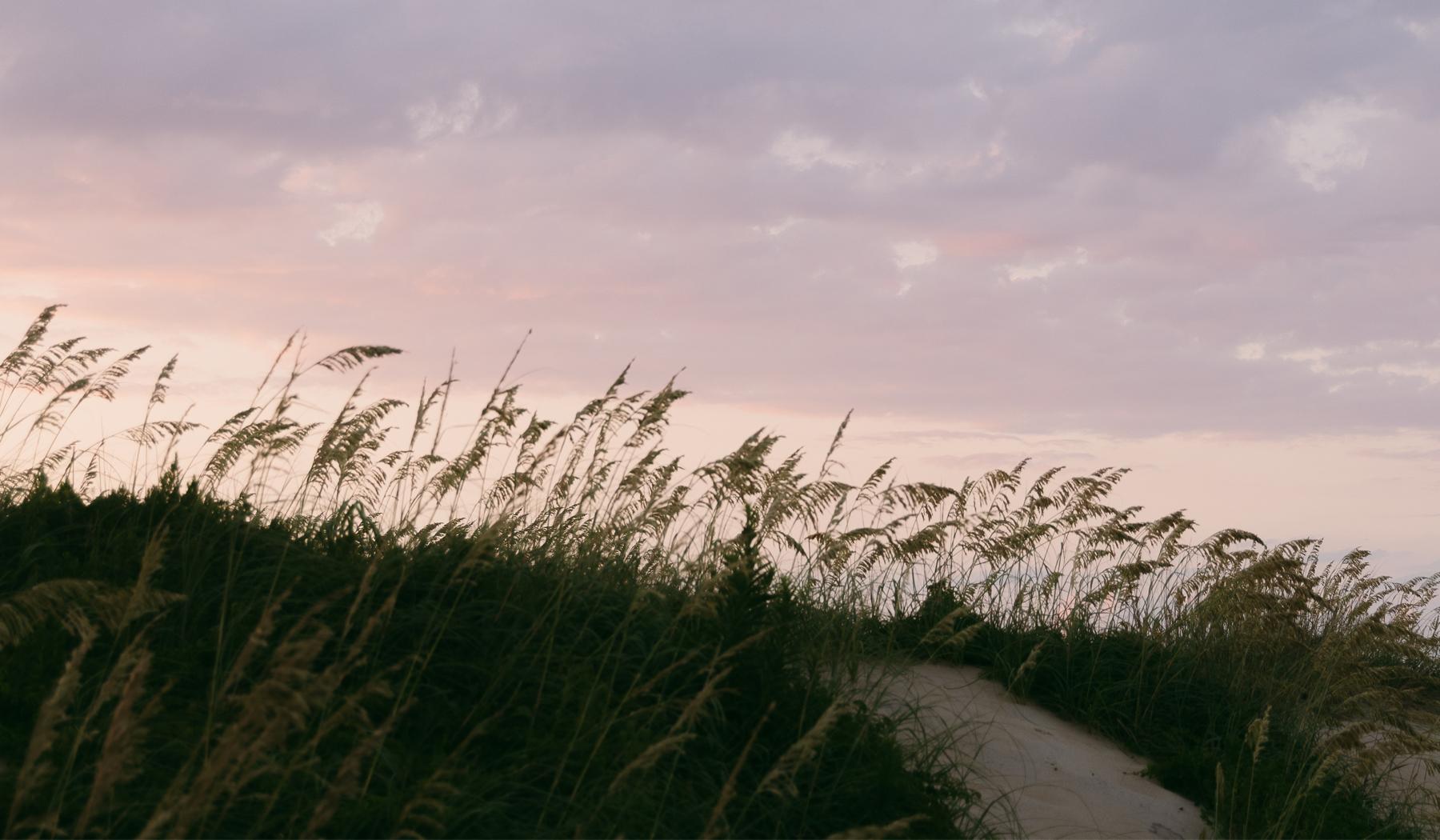 The Wedding Website of Madison Cheripka and Ashton Teeter