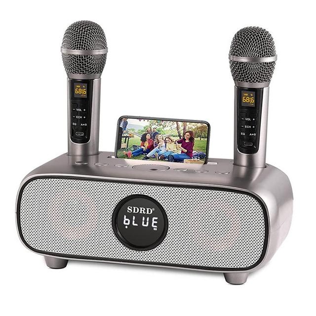 Karaoke Machine for Adults and Kids,Portable Bluetooth Karaoke Machine with Lyrics Display , PA Speaker System with 2 Wireless Bluetooth Microphone Best Birthday Gift for Boys and Girls