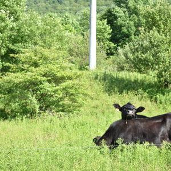 Farm Fund