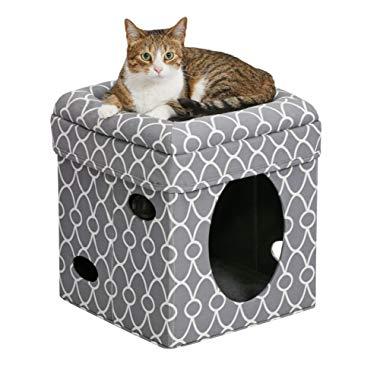MidWest Curious Cat Cube, Cat House / Cat Condo
