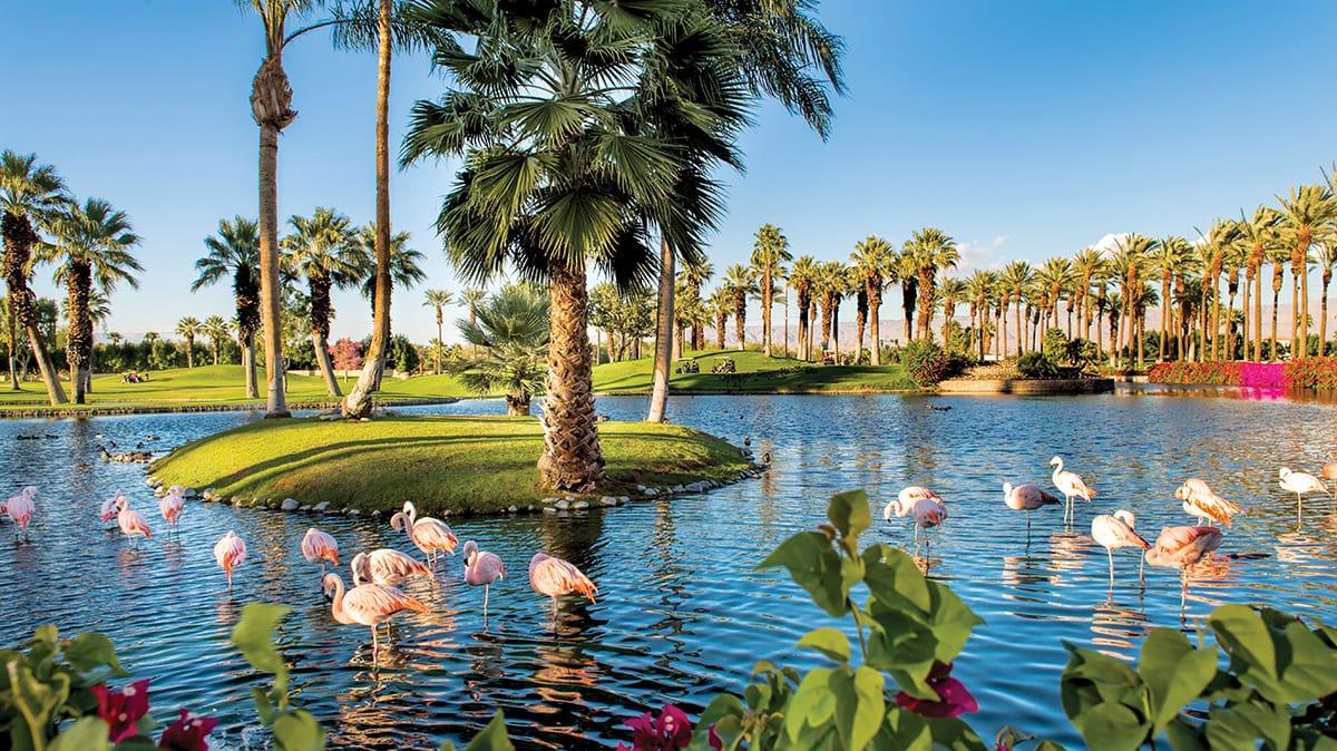 The Wedding Website of Shivani Gandhi and Sagar Patel